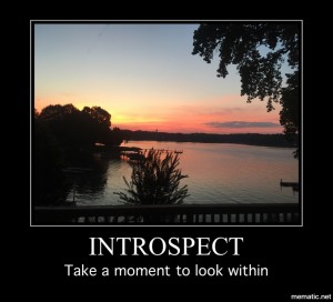 introspect